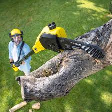 Best Lawn Mowing Services  in Reedley, CA